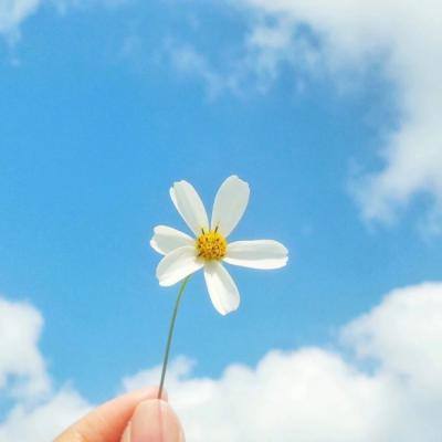 ag娱乐平台游戏中心截图