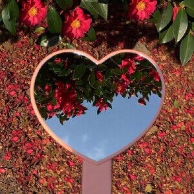 竞彩足球APP官方下载