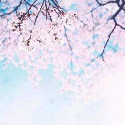 半岛bob综合登入下载手机版