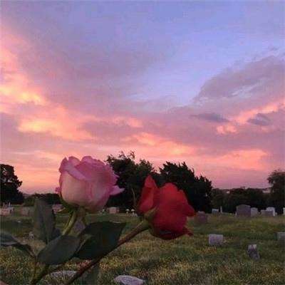 bob半岛在线登录