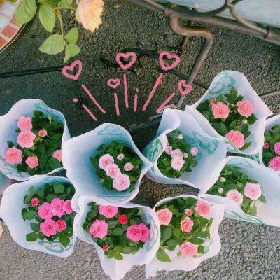 ng体育下载注册